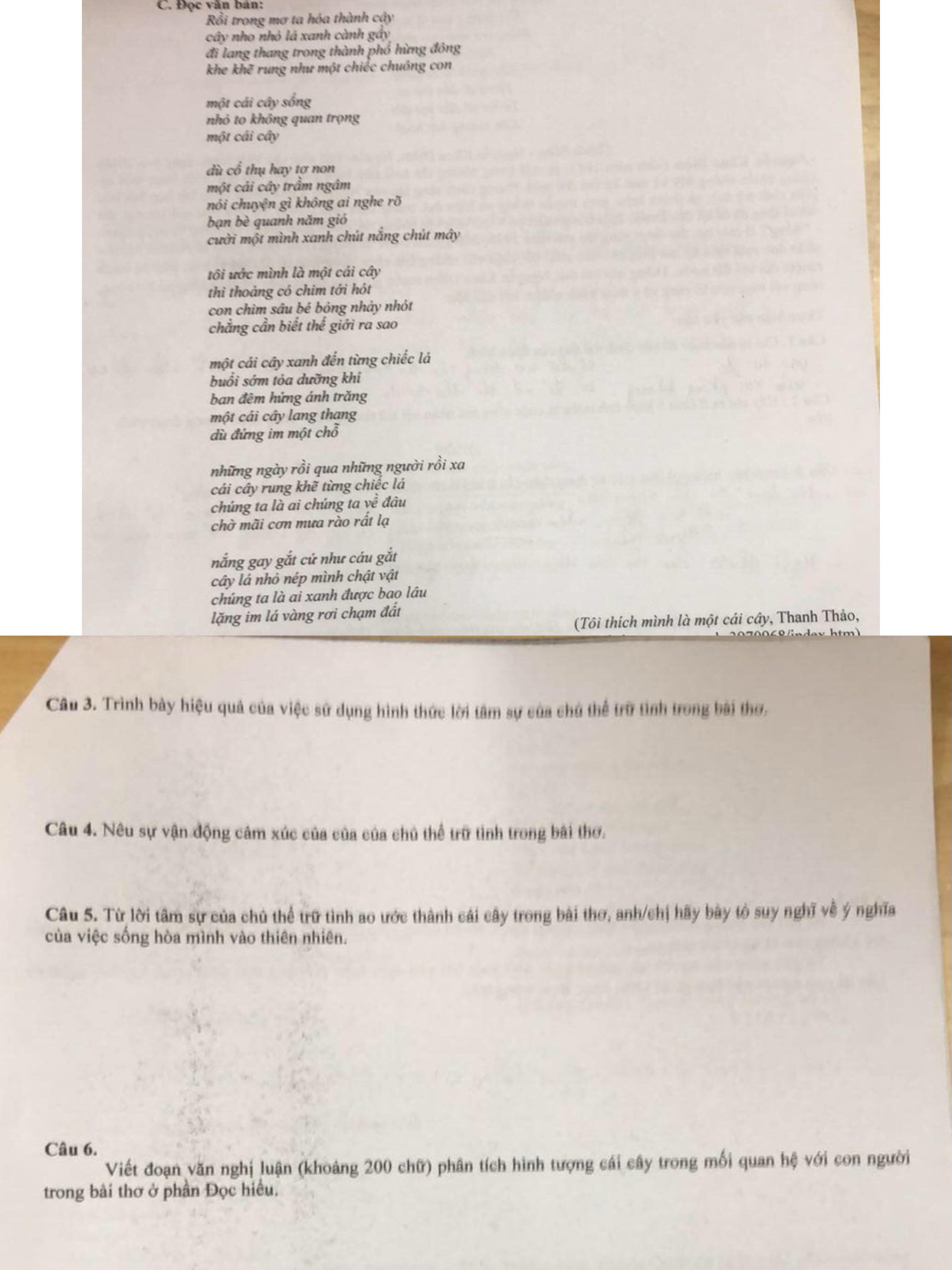 Rồi trong mơ ta hóa thành cậy
cây nho nhỏ lá xanh cành gây
đi lang thang trong thành phổ hừng đông
khe khẽ rung như một chiếc chuồng con
một cái cây sống
nhỏ to không quan trọng
một cái cây
dù cổ thụ hay tơ non
một cái cây trầm ngâm
nói chuyện gì không ai nghe rõ
bạn bè quanh năm gió
cười một mình xanh chút nắng chút mây
tôi ước mình là một cái cây
thì thoảng có chìm tới hót
con chìm sâu bé bỏng nhảy nhót
chẳng cần biết thể giới ra sao
một cái cây xanh đến từng chiếc lá
buổi sớm tỏa dưỡng khi
ban đêm hứng ánh trăng
một cái cây lang thang
dù đứng im một chỗ
những ngày rồi qua những người rồi xa
cái cây rung khẽ từng chiếc lá
chúng ta là ai chúng ta về đâu
chờ mãi cơn mưa rào rất lạ
nắng gay gắt cứ như cáu gắt
cây lá nhỏ nép mình chật vật
chúng ta là ai xanh được bao lâu
lặng im lá vàng rơi chạm đất
(Tôi thích mình là một cái cây, Thanh Thảo,
Câu 3. Trình bày hiệu quả của việc sử dụng hình thức lời tâm sự của chú thể trữ tình trong bài thơ.
Câu 4. Nêu sự vận động cảm xúc của của của chủ thể trữ tình trong bài thơ.
Câu 5. Từ lời tâm sự của chủ thể trữ tình ao ước thành cái cây trong bài thơ, anh/chị hãy bày tò suy nghĩ về ý nghĩa
của việc sống hòa mình vào thiên nhiên.
Câu 6.
Viết đoạn văn nghị luận (khoảng 200 chữ) phân tích hình tượng cái cây trong mối quan hệ với con người
trong bài thơ ở phần Đọc hiều.