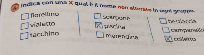 Indica con una X qual è il nome non alterato in ogni gruppo.
fiorellino
scarpone
vialetto
bestiaccia
piscina
tacchino campanellir
merendina colletto