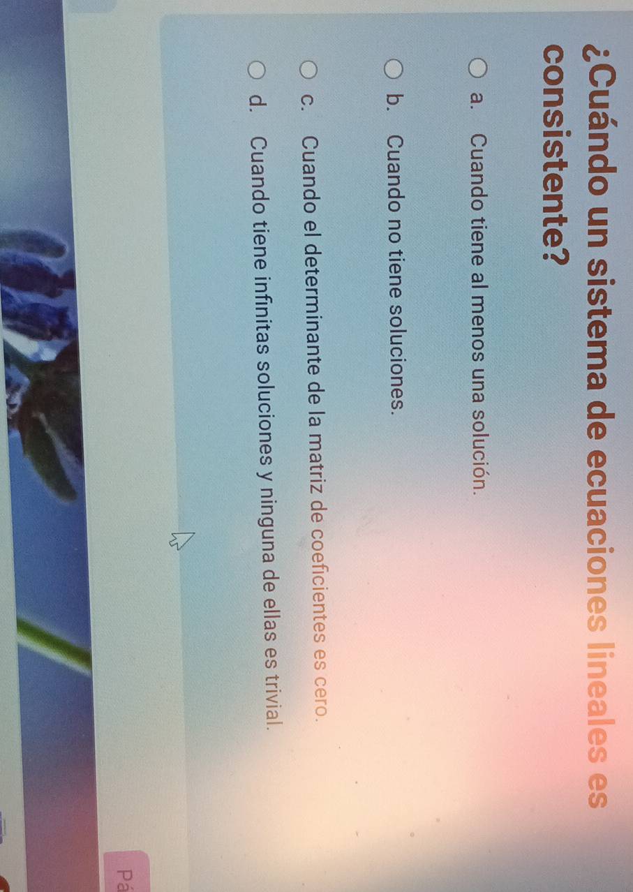 ¿Cuándo un sistema de ecuaciones lineales es
consistente?
a. Cuando tiene al menos una solución.
b. Cuando no tiene soluciones.
c. Cuando el determinante de la matriz de coeficientes es cero.
d. Cuando tiene infinitas soluciones y ninguna de ellas es trivial.
Pá