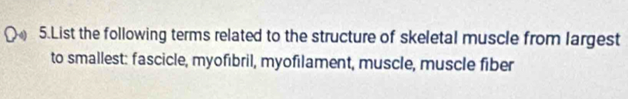 List the following terms related to the structure of skeletal muscle from largest 
to smallest: fascicle, myofibril, myofilament, muscle, muscle fiber