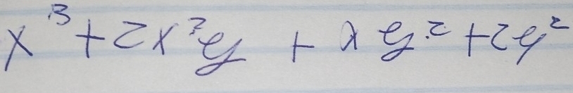 x^3+2x^2es^y^(2+2ey^2)