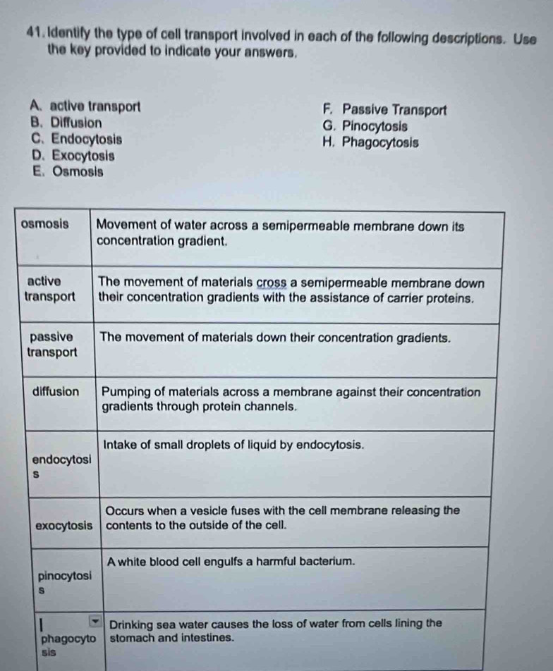 Identify the type of cell transport involved in each of the following descriptions. Use
the key provided to indicate your answers.
A、 active transport F. Passive Transport
B. Diffusion G. Pinocytosis
C、 Endocytosis H. Phagocytosis
D.Exocytosis
E.Osmosis
o
t
sis