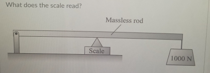 What does the scale read?