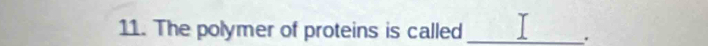 The polymer of proteins is called_ 
.