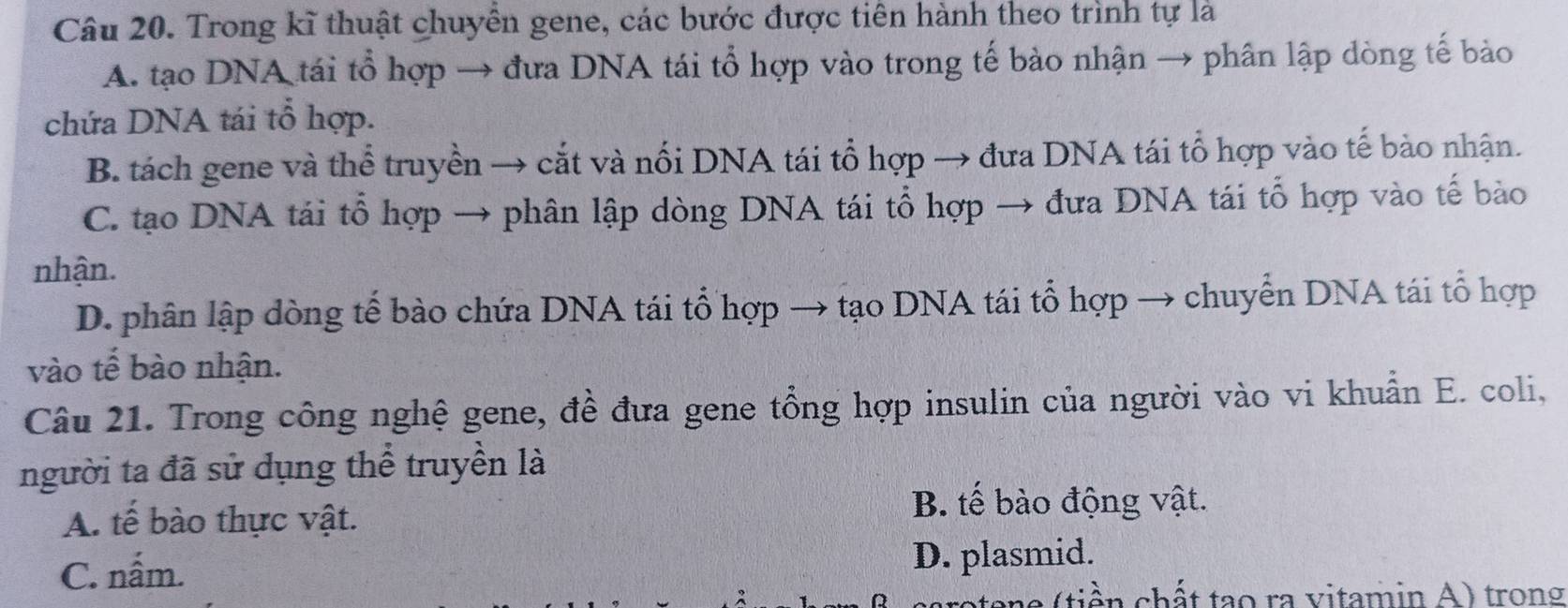 Trong kĩ thuật chuyển gene, các bước được tiên hành theo trình tự là
A. tạo DNA tái tổ hợp → đưa DNA tái tổ hợp vào trong tế bào nhận → phân lập dòng tế bảo
chứa DNA tái tổ hợp.
B. tách gene và thể truyền → cắt và nổi DNA tái tổ hợp → đưa DNA tái tổ hợp vào tế bào nhận.
C. tạo DNA tái tổ hợp → phân lập dòng DNA tái tổ hợp → đưa DNA tái tổ hợp vào tế bào
nhận.
D. phân lập dòng tế bào chứa DNA tái tổ hợp → tạo DNA tái tổ hợp → chuyển DNA tái tổ hợp
vào tế bào nhận.
Câu 21. Trong công nghệ gene, đề đưa gene tổng hợp insulin của người vào vi khuẩn E. coli,
người ta đã sử dụng thể truyền là
A. tế bào thực vật.
B. tế bào động vật.
C. nấm. D. plasmid.
aa (tiền chất tạo ra vitamin A) trong