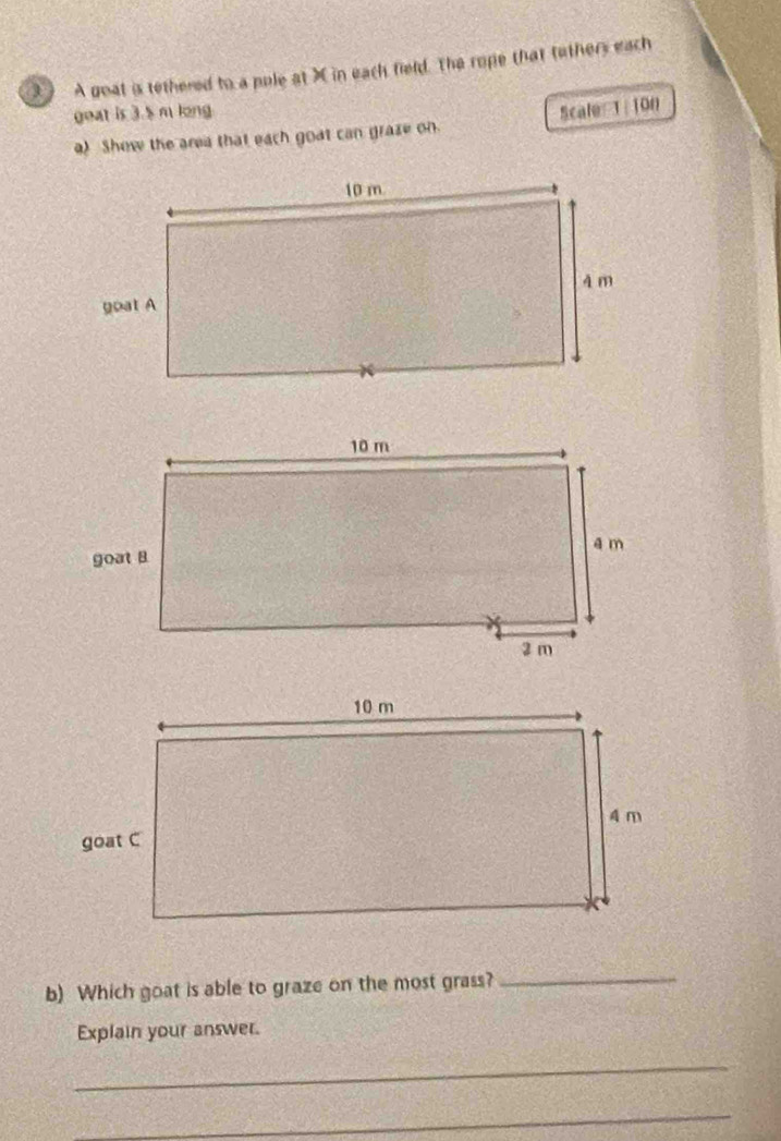 A goat is tethered to a pole at X in each field. The rope that tothers each 
geat is 3.5 m long 
a) Show the area that each goat can graze on Scale T | 100
b) Which goat is able to graze on the most grass? 
_ 
Explain your answer. 
_ 
_