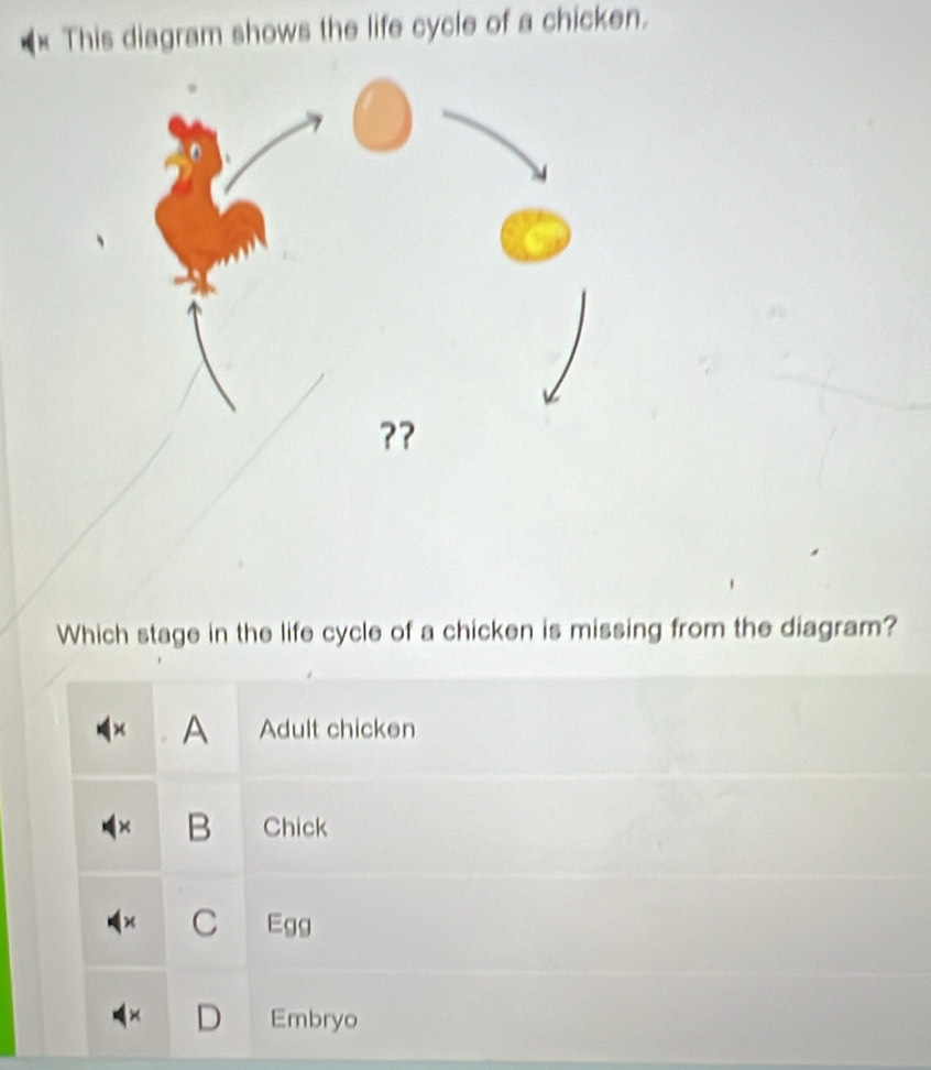 This diagram shows the life cycle of a chicken.
Which stage in the life cycle of a chicken is missing from the diagram?
Adult chicken
B Chick
C Egg
Embryo