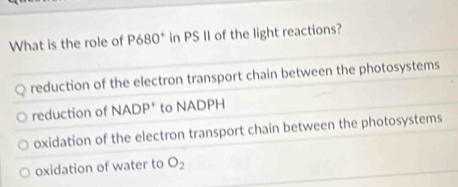 What is the role of P680^+ in PS II of the light reactions?
reduction of the electron transport chain between the photosystems
reduction of NADP' to NADPH
oxidation of the electron transport chain between the photosystems
oxidation of water to O_2