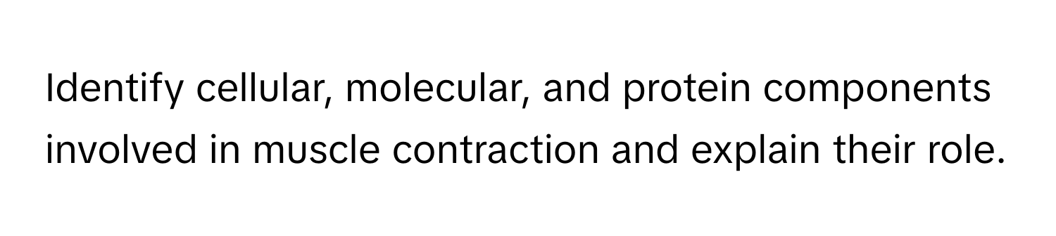 Identify cellular, molecular, and protein components involved in muscle contraction and explain their role.