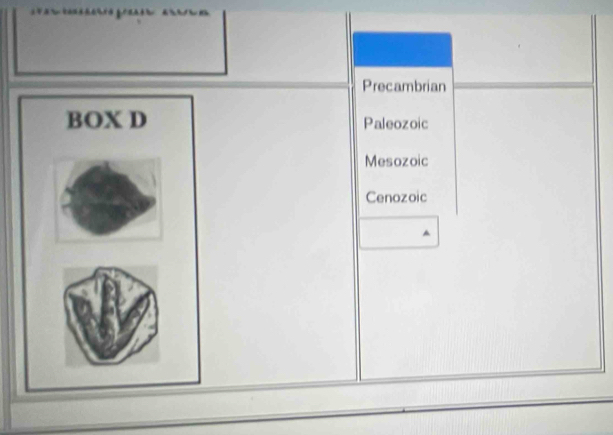Precambrian
BOX D Paleozoic
Mesozoic
Cenozoic