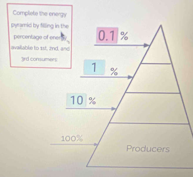 3rd consumers: