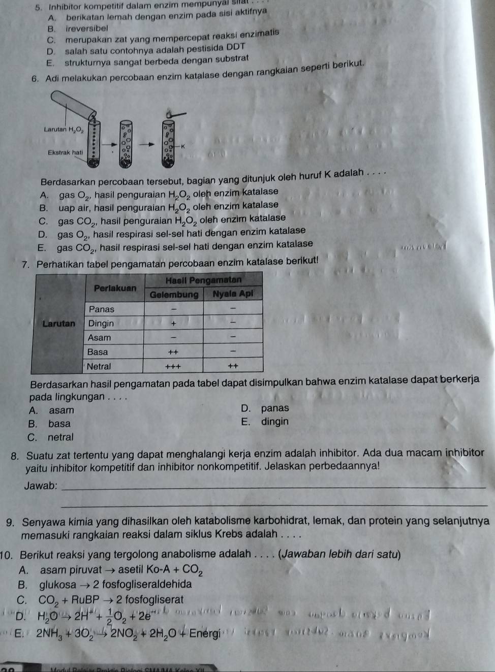 Inhibitor kompetitif dalam enzim mempunyal silat
A. berikatan lemah dengan enzim pada sisi aktifnya
B. ireversibel
C. merupakan zat yang mempercepat reaksi enzimatis
D. salah satu contohnya adalah pestisida DDT
E. strukturnya sangat berbeda dengan substrat
6. Adi melakukan percobaan enzim katalase dengan rangkaian seperti berikut.
Berdasarkan percobaan tersebut, bagian yang ditunjuk oleh huruf K adalah . . . .
A. gas O_2, hasil penguraian H_2O_2 oleh enzim katalase
B. uap air, hasil penguraian H_2O_2 oleh enzim katalase
C. gas CO_2, hasil penguraian H_2O_2 oleh enzim katalase
D. gas O_2' hasil respirasi sel-sel hati dengan enzim katalase
E. gas CO_2 , hasil respirasi sel-sel hati dengan enzim katalase
7. Perhatikan tabel pengamatan percobaan enzim katalase berikut!
Berdasarkan hasil pengamatan pada tabel dapat disimpulkan bahwa enzim katalase dapat berkerja
pada lingkungan . . . .
A. asam D. panas
B. basa E. dingin
C. netral
8. Suatu zat tertentu yang dapat menghalangi kerja enzim adalah inhibitor. Ada dua macam inhibitor
yaitu inhibitor kompetitif dan inhibitor nonkompetitif. Jelaskan perbedaannya!
Jawab:_
_
9. Senyawa kimia yang dihasilkan oleh katabolisme karbohidrat, lemak, dan protein yang selanjutnya
memasuki rangkaian reaksi dalam siklus Krebs adalah . . . .
10. Berikut reaksi yang tergolong anabolisme adalah . . . . (Jawaban lebih dari satu)
A. asam piruvat → asetil Ko-A+CO_2
B. glukosa → 2 fosfogliseraldehida
C. CO_2+RuBPto 2 fosfogliserat
D. H_2Oto 2H^++ 1/2 O_2+2e
E. 2NH_3+3O_2to 2NO_2+2H_2O+ Energ