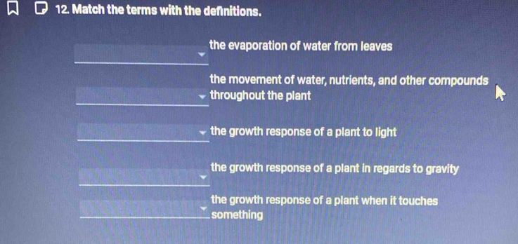 Match the terms with the defnitions.
the evaporation of water from leaves
the movement of water, nutrients, and other compounds
throughout the plant
the growth response of a plant to light
the growth response of a plant in regards to gravity
the growth response of a plant when it touches
something