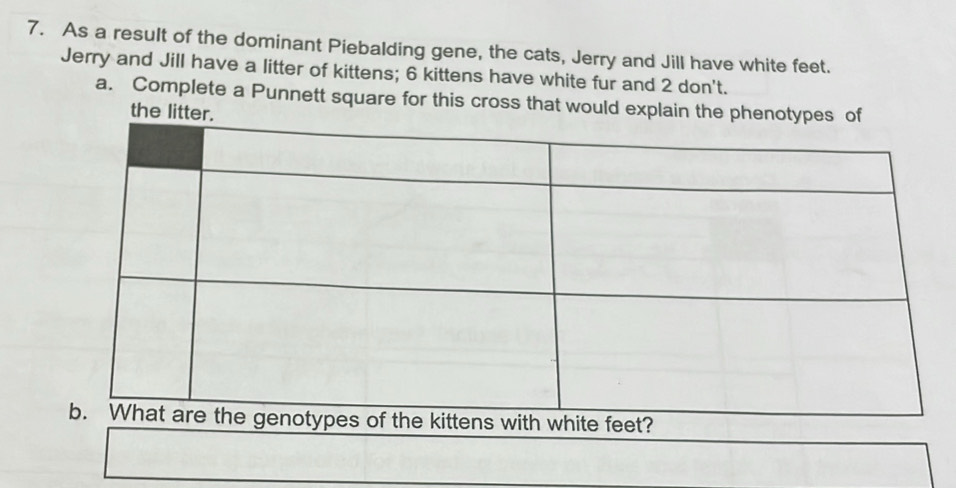 As a result of the dominant Piebalding gene, the cats, Jerry and Jill have white feet. 
Jerry and Jill have a litter of kittens; 6 kittens have white fur and 2 don't. 
a. Complete a Punnett square for this cross that would explain 
the lit 
hite feet?