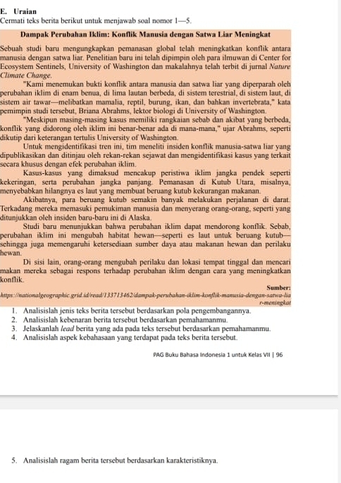 Uraian
Cermati teks berita berikut untuk menjawab soal nomor 1—5.
Dampak Perubahan Iklim: Konflik Manusia dengan Satwa Liar Meningkat
Sebuah studi baru mengungkapkan pemanasan global telah meningkatkan konflik antara
manusia dengan satwa liar. Penelitian baru ini telah dipimpin oleh para ilmuwan di Center for
Ecosystem Sentinels, University of Washington dan makalahnya telah terbit di jurnal Nanıre
Climate Change.
''Kami menemukan bukti konflik antara manusia dan satwa liar yang diperparah oleh
perubahan iklim di enam benua, di lima lautan berbeda, di sistem terestrial, di sistem laut, di
sistem air tawar—melibatkan mamalia, reptil, burung, ikan, dan bahkan invertebrata," kata
pemimpin studi tersebut, Briana Abrahms, lektor biologi di University of Washington.
"Meskipun masing-masing kasus memiliki rangkaian sebab dan akibat yang berbeda,
konflik yang didorong olch iklim ini benar-benar ada di mana-mana," ujar Abrahms, seperti
dikutip dari keterangan tertulis University of Washington.
Untuk mengidentifikasi tren ini, tim meneliti insiden konflik manusia-satwa liar yang
dipublikasikan dan ditinjau oleh rekan-rekan sejawat dan mengidentifikasi kasus yang terkait
secara khusus dengan efek perubahan iklim.
Kasus-kasus yang dimaksud mençakup peristiwa iklim jangka pendek seperti
kekeringan, serta perubahan jangka panjang. Pemanasan di Kutub Utara, misalnya,
menyebabkan hilangnya es laut yang membuat beruang kutub kekurangan makanan.
Akibatnya, para beruang kutub semakin banyak melakukan perjalanan di darat.
Terkadang mereka memasuki pemukiman manusia dan menyerang orang-orang, seperti yang
ditunjukkan oleh insiden baru-baru ini di Alaska.
Studi baru menunjukkan bahwa perubahan iklim dapat mendorong konflik. Sebab,
perubahan iklim ini mengubah habitat hewan—seperti es laut untuk beruang kutub
sehingga juga memengaruhi ketersediaan sumber daya atau makanan hewan dan perilaku
hewan.
Di sisi lain, orang-orang mengubah perilaku dan lokasi tempat tinggal dan mencari
makan mereka sebagai respons terhadap perubahan iklim dengan cara yang meningkatkan
konflik.
Sumber:
https://nationalgeographic.grid.id/read/133713462/dampak-perubahan-iklim-konflik-manusia-dengan-satwa-lia
1. Analisislah jenis teks berita tersebut berdasarkan pola pengembangannya. r-meningkat
2. Analisislah kebenaran berita tersebut berdasarkan pemahamanmu.
3. Jelaskanlah /ead berita yang ada pada teks tersebut berdasarkan pemahamanmu.
4. Analisislah aspek kebahasaan yang terdapat pada teks berita tersebut.
PAG Buku Bahasa Indonesia 1 untuk Kelas VII | 96
5. Analisislah ragam berita tersebut berdasarkan karakteristiknya.