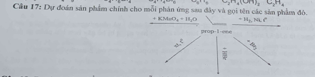 4''4'-'6 C_6H_6C_2H_4(OH)_2C_2H_4
Câu 17: Dự đoán sản phẩm chính cho mỗi phản ứng sau đây và gọi tên các sản phẩm đó. 
_ +KMnO_4+H_2O +H_2 , Ni, t°
prop-1-ene
+Br_2