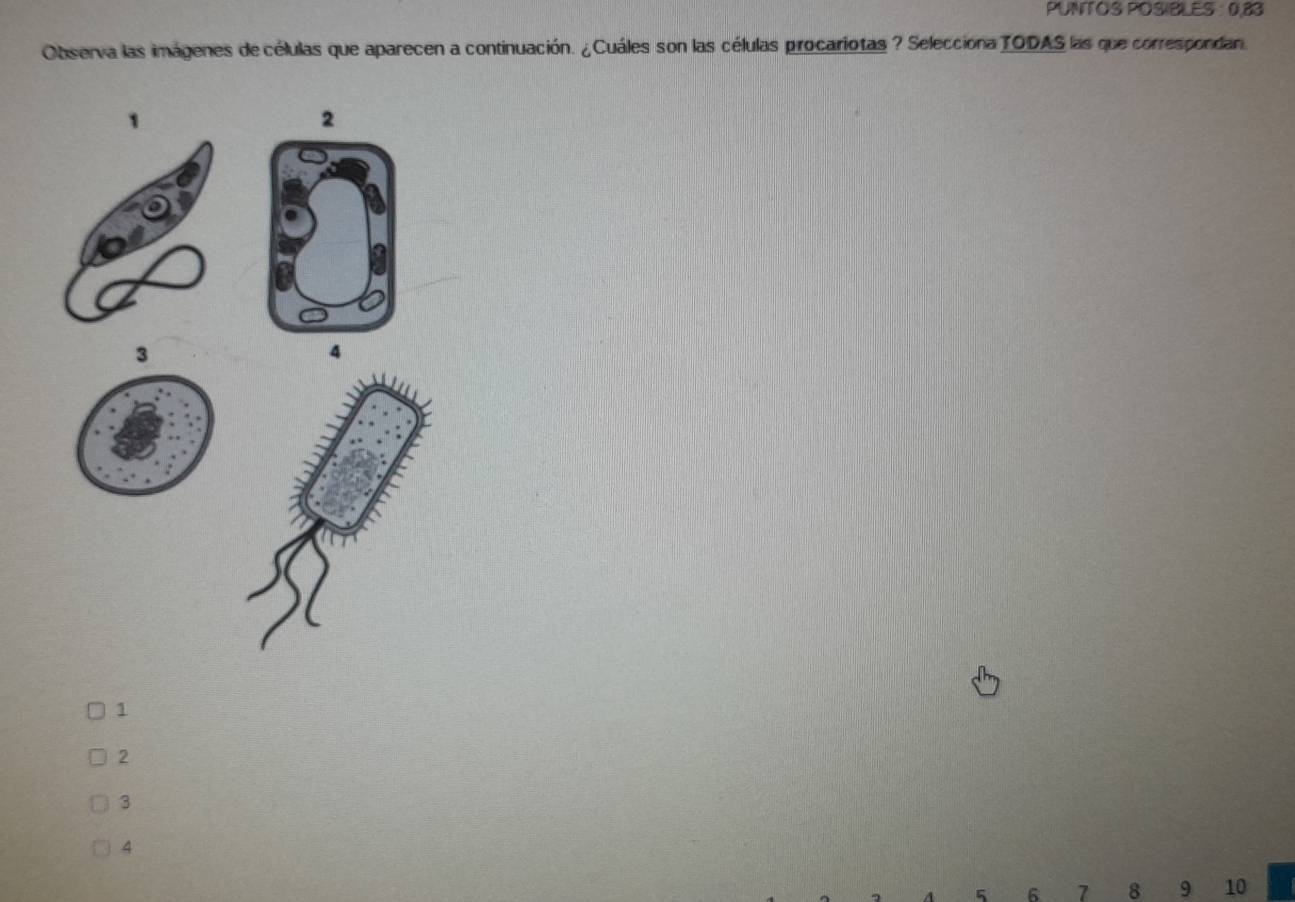 PUNTOS POSIBLES : 0,83
Observa las imágenes de células que aparecen a continuación. ¿Cuáles son las células procariotas ? Selecciona TODAS las que correspondan.
1
2
3
4
1
2
3
4
5 6 7 8 9 10