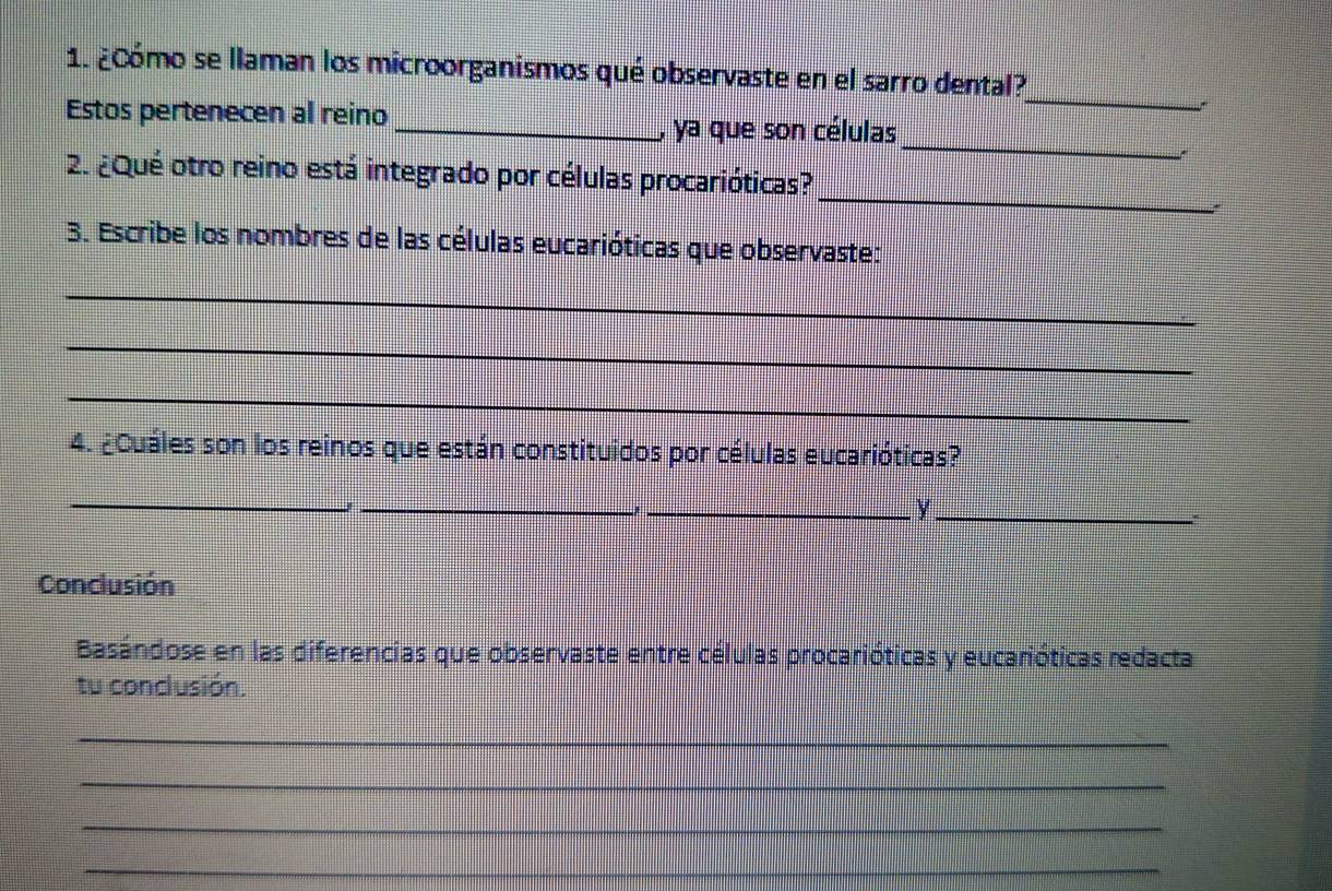 ¿Cómo se llaman los microorganismos qué observaste en el sarro dental? 
* 
_ 
Estos pertenecen al reino _, ya que son células 
_ 
2. ¿Qué otro reino está integrado por células procarióticas? 
3. Escribe los nombres de las células eucarióticas que observaste: 
_ 
_ 
_ 
4. ¿Cuáles son los reinos que están constituidos por células eucarióticas? 
_ 
_ 
__y 
Conclusión 
Basándose en las diferencias que observaste entre células procarióticas y eucarióticas redacta 
tu conclusión. 
_ 
_ 
_ 
_