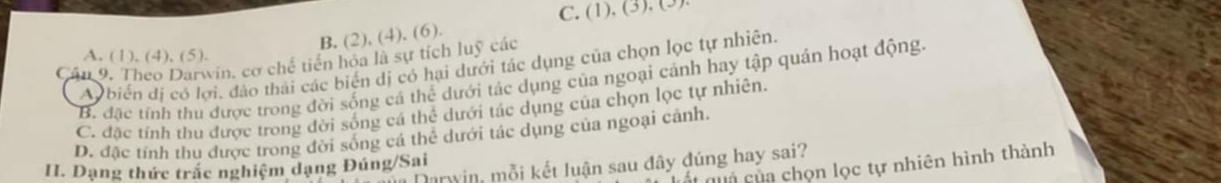 C. (1). (3). (3)
B, (2), (4), (6).
Cần 9. Theo Darwin, cơ chế tiên hóa là sự tích luỹ các A. (1), (4), (5).
A biển đị có lợi, đảo thái các biển dị có hại dưới tác dụng của chọn lọc tự nhiên.
B. đặc tính thu được trong đời sống cá thể dưới tác dụng của ngoại cảnh hay tập quán hoạt động.
C. đặc tính thu được trong đời sống cá thể dưới tác dụng của chọn lọc tự nhiên.
D. đặc tính thu được trong đời sống cá thể dưới tác dụng của ngoại cảnh.
Darwin, mỗi kết luận sau đây đúng hay sai?
M q a của chọn lọc tự nhiên hình thành
II. Dạng thức trắc nghiệm dạng Đúng/Sai