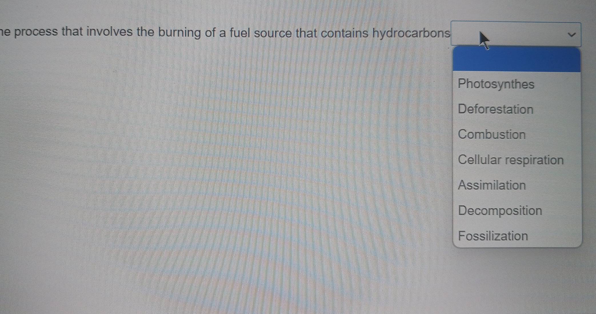 he process that involves the burning of a fuel source that contains hydrocarbons .
Photosynthes
Deforestation
Combustion
Cellular respiration
Assimilation
Decomposition
Fossilization