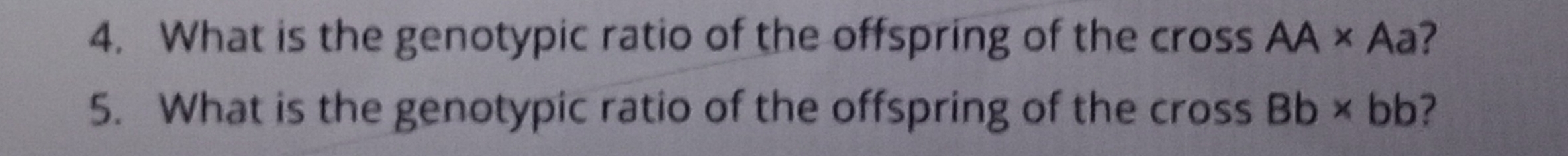 What is the genotypic ratio of the offspring of the cross AA* Aa
5. What is the genotypic ratio of the offspring of the cross Bb* bb 7