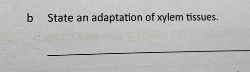 State an adaptation of xylem tissues. 
_