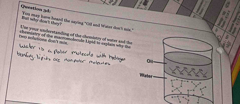 But why don't they? 
t 
You may have heard the saying “Oil and Water don’t mix.” 
Use your understanding of the chemistry of water and the 
chemistry of the macromolecule Lipid to explain why the 
two solutions don't mix.