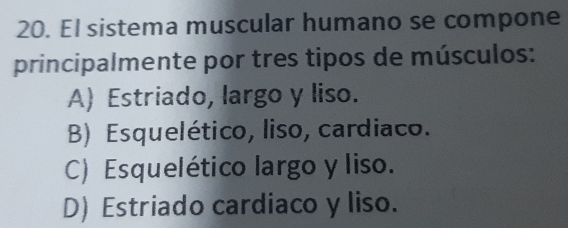 El sistema muscular humano se compone
principalmente por tres tipos de músculos:
A) Estriado, largo y liso.
B) Esquelético, liso, cardiaco.
C) Esquelético largo y liso.
D) Estriado cardiaco y liso.