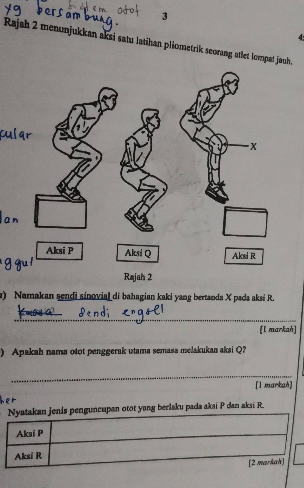 3 
4 
Rajah 2 menunjukkan aksi satu latihan pliometrik seorang atlet lompat jauh. 
z) Namakan sendi sinovial di bahagian kaki yang bertanda X pada aksi R. 
_ 
[1 markah] 
) Apakah nama otot penggerak utama semasa melakukan aksi Q? 
_ 
[1 markah] 
guncupan otot yang berlaku pada aksi P dan aksi R.