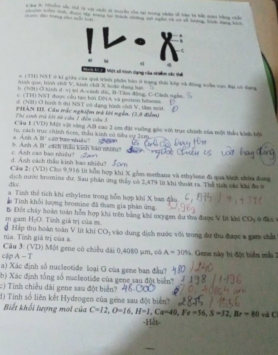 Nhiễm sắc thể là vật chát đi truyền tồn tại trong nhân tế báo bi bắt màu bằng chất
nhuôm kiểm tính, được tập trung lại thành những sợi ngàn và có số lượng, hình dạng kích
thước đặc trưng cho mỗi loài
hình dạng của nhiêm sắc thể
a. (TH) NST ở kỉ giữa của quá trình phần bảo ở trạng thái kép và đồng xoắn cực đại có đạng
hình que, hình chữ V, hình chữ X hoặc dạng hạt.
b. (NB) Ở hình d: vị trí A-cánh dài, B-Tâm động, C-Cánh ngẫn.
c. (TH) NST được cầu tạo bởi DNA và protein hitsone.
d (NB) Ở hình b thì NST có dạng hình chữ V, tâm mút.
PHÀN III. Câu trắc nghiệm trả lời ngắn. (3,0 điểm)
Thi sinh trả lời từ cầu 1 đến câu 3
Câu 1:(VD) Một vật sáng AB cao 2 cm đặt vuông góc với trục chính của một thầu kính hội
tụ, cách trục chính 6cm, thầu kinh có tiêu cự 2cm
a. Ảnh A'B' cao bao nhiêu?
b. Ảnh A B' cách thầu kính bao nhiều?
c. Ảnh cao bao nhiêu?
d. Ảnh cách thấu kính bao nhiêu?
Câu 2: (VD) Cho 9,916 lít hỗn hợp khí X gồm methane và ethylene đi qua bình chứa dung
dịch nước bromine dư. Sau phản ứng thấy có 2,479 lít khí thoát ra. Thể tích các khí đo ở
đkc.
a. Tính thể tích khí ethylene trong hỗn hợp khí X ban đầu.
n Tính khối lượng bromine đã tham gia phản ứng.
B Đốt cháy hoàn toàn hỗn hợp khí trên bằng khí oxygen dư thu được V lít khí CO_2 à đkc 
m gam H_2O. Tính giá trị của m.
. Hấp thụ hoàn toàn V lít khí CO_2 vào dung dịch nước vôi trong dư thu được a gam chất
tủa. Tính giá trị của a.
Câu 3: (VD) Một gene có chiều dài 0,4080 μm, có A=30% Gene này bị đột biển mất 2
cặp A-T
a) Xác định số nucleotide loại G của gene ban đầu?
b) Xác định tổng số nucleotide của gene sau đột biến?
c) Tính chiều dài gene sau đột biến?
d) Tính số liên kết Hydrogen của gene sau đột biển?
Biết khối lượng mol của C=12,O=16,H=1,Ca=40,Fe=56,S=32,Br=80 và C
-Hết-