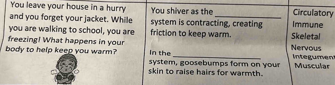 You leave your house in a hurry You shiver as the Circulatory 
and you forget your jacket. While system is contracting, creating Immune 
you are walking to school, you are friction to keep warm. Skeletal 
freezing! What happens in your Nervous 
_ 
body to help keep you warm? In the 
Integument 
system, goosebumps form on your Muscular 
skin to raise hairs for warmth.