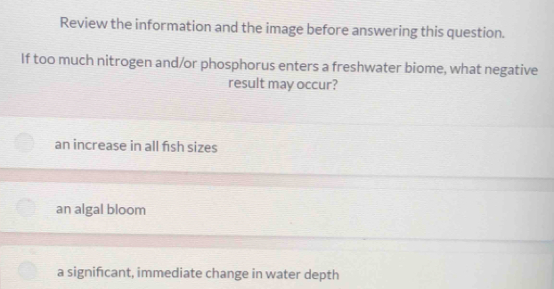 Review the information and the image before answering this question.
If too much nitrogen and/or phosphorus enters a freshwater biome, what negative
result may occur?
an increase in all fish sizes
an algal bloom
a signifcant, immediate change in water depth