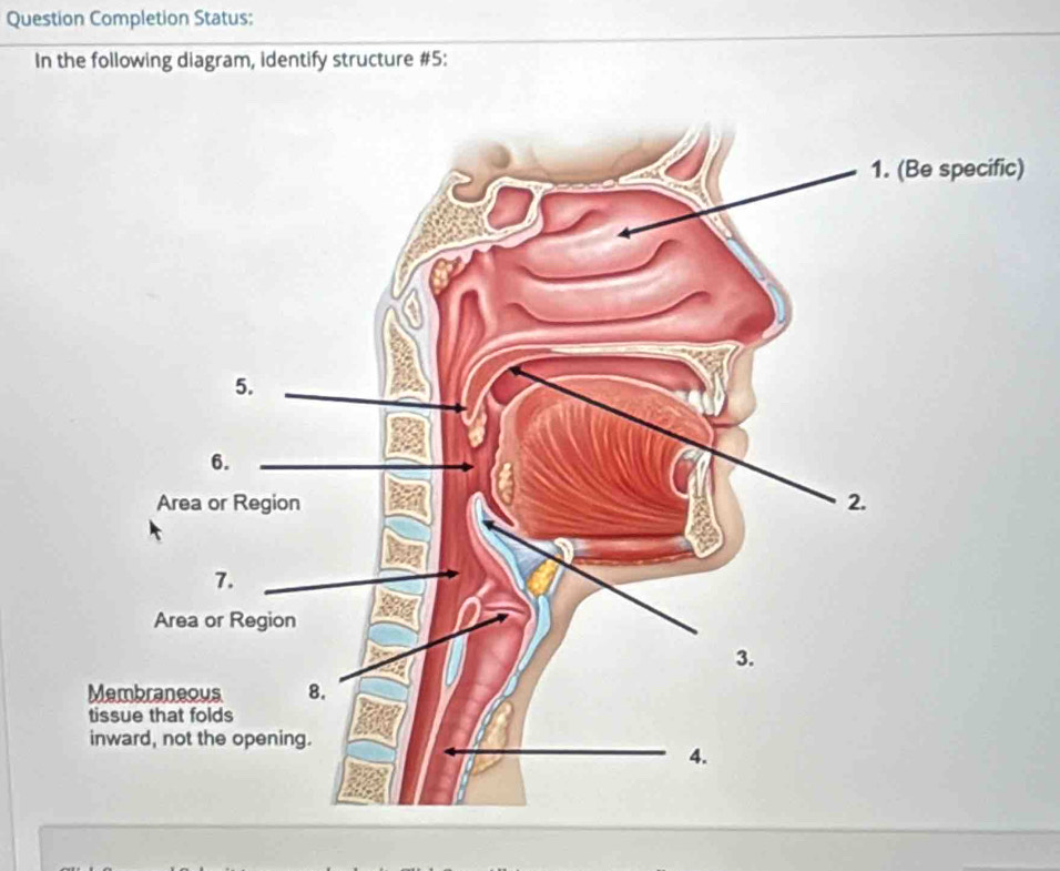 Question Completion Status: 
In the following diagram, identify structure #5: 
)