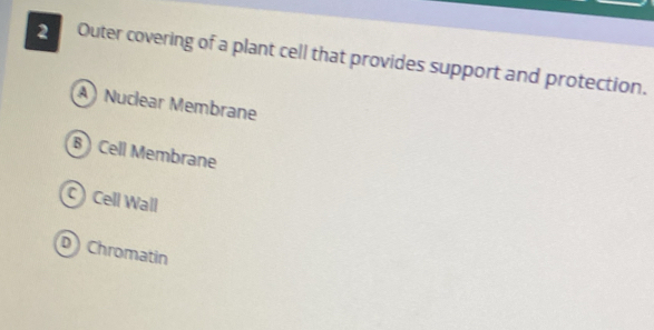 Outer covering of a plant cell that provides support and protection.
A) Nuclear Membrane
B) Cell Membrane
C Cell Wall
D Chromatin