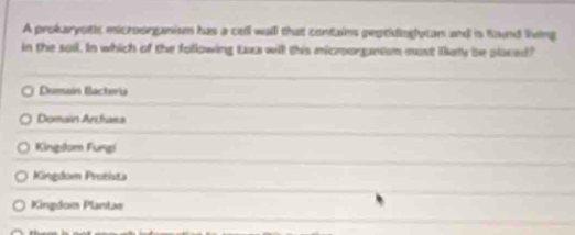 A prokaryotic microorganism has a cell wall that contains peptidioglycan and is fund living
in the sail. In which of the following taxs wil this microorganism must ilkety be placed"
Dumain Bactoria
Domain Archasa
Kingdom Fungi
Kingdom Prošista
Kingdom Plantae