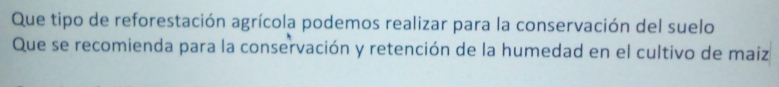 Que tipo de reforestación agrícola podemos realizar para la conservación del suelo 
Que se recomienda para la conservación y retención de la humedad en el cultivo de maiz