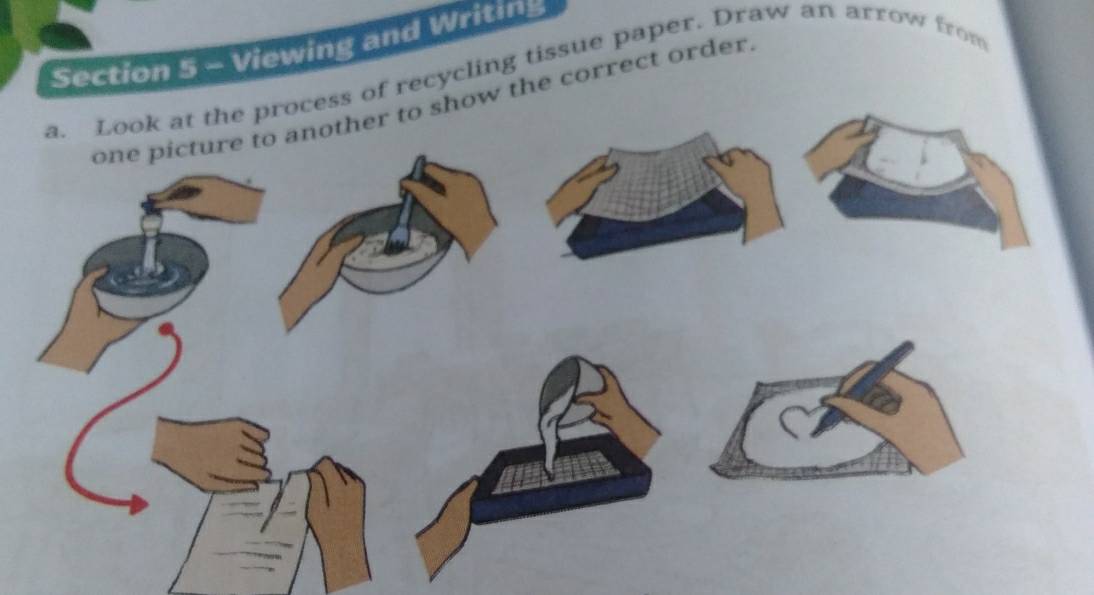 Viewing and Writing 
a. Look at the process of recycling tissue paper. Draw an arrow from 
one picture to another to show the correct order