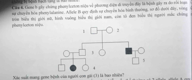 Không bị bệnh bạch tạng là bao Hiều: 
Câu 4. Gene b gây chứng phenylceton niệu về phương diện di truyền đây là bệnh gây ra do rối loạn 
sự chuyển hóa phenylalanine. Allele B quy định sự chuyển hóa bình thường, sơ đồ dưới đây, vòng 
tròn biểu thị giới nữ, hình vuông biểu thị giới nam, còn tô đen biểu thị người mắc chứng 
phenylceton niệu. 
Xác suất mang gene bệnh của người con gái (3) là bao nhiêu? 
le le au