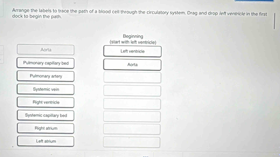 Arrange the labels to trace the path of a blood cell through the circulatory system. Drag and drop /eft ventricle in the first
dock to begin the path.
Beginning
(start with left ventricle)
Aorta Left ventricle
Pulmonary capillary bed Aorta
Pulmonary artery
Systemic vein
Right ventricle
Systemic capillary bed
Right atrium
Left atrium