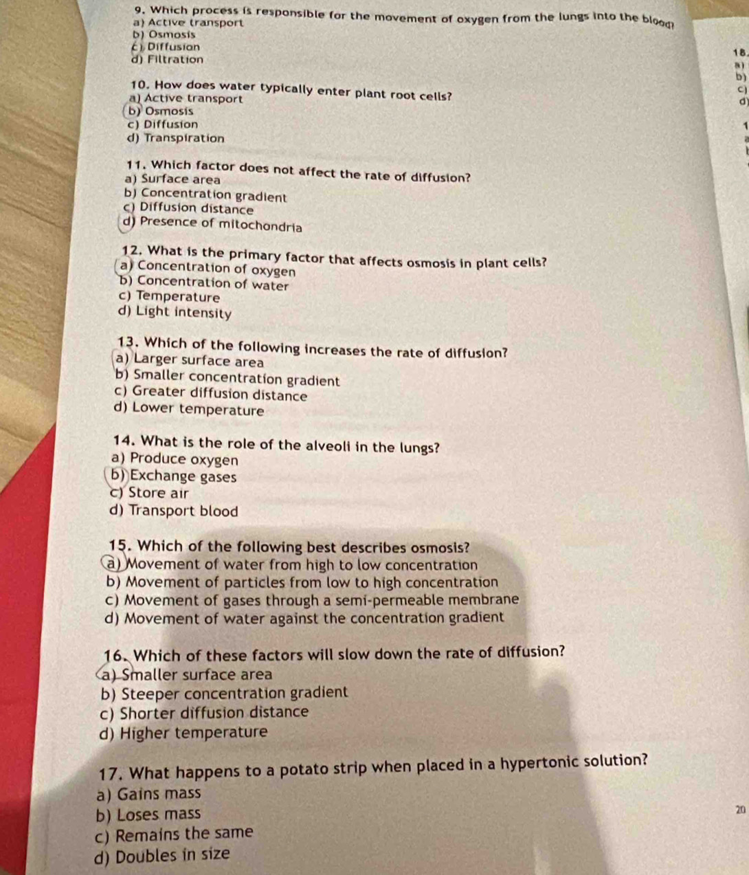 Which process is responsible for the movement of oxygen from the lungs into the bloon
a) Active transport
b) Osmosis
() Diffusian
18
d) Filtration
a
b)
10. How does water typically enter plant root cells?
C]
a) Active transport d)
(b) Osmosís
c) Diffusion
d) Transpiration
11. Which factor does not affect the rate of diffusion?
a) Surface area
b) Concentration gradient
c) Diffusion distance
d) Presence of mitochondria
12. What is the primary factor that affects osmosis in plant cells?
a) Concentration of oxygen
b) Concentration of water
c) Temperature
d) Light intensity
13. Which of the following increases the rate of diffusion?
a) Larger surface area
b) Smaller concentration gradient
c) Greater diffusion distance
d) Lower temperature
14. What is the role of the alveoli in the lungs?
a) Produce oxygen
b) Exchange gases
c) Store air
d) Transport blood
15. Which of the following best describes osmosis?
a) Movement of water from high to low concentration
b) Movement of particles from low to high concentration
c) Movement of gases through a semi-permeable membrane
d) Movement of water against the concentration gradient
16. Which of these factors will slow down the rate of diffusion?
a) Smaller surface area
b) Steeper concentration gradient
c) Shorter diffusion distance
d) Higher temperature
17. What happens to a potato strip when placed in a hypertonic solution?
a) Gains mass
b) Loses mass
20
c) Remains the same
d) Doubles in size