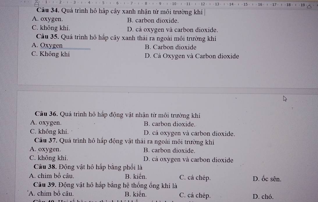 2 3 4 · 5 6·1·7 。 1.g · 9 、ι · 10 · · 11 - · 12 ·· 13 · 、 14 ·· 15 · 。 16 ·﹙ - 17。 · 18 · 19 ·
Câu 34. Quá trình hô hập cây xanh nhận từ môi trường khí
A. oxygen. B. carbon dioxide.
C. không khí. D. cả oxygen và carbon dioxide.
Câu 35. Quá trình hô hấp cây xanh thải ra ngoài môi trường khí
A. Oxygen B. Carbon dioxide
C. Không khí D. Cả Oxygen và Carbon dioxide
Câu 36. Quá trình hô hấp động vật nhận từ môi trường khí
A. oxygen. B. carbon dioxide.
C. không khí. D. cả oxygen và cárbon dioxide.
Câu 37. Quá trình hô hấp động vật thải ra ngoài môi trường khí
A. oxygen. B. carbon dioxide.
C. không khí. D. cả oxygen và carbon dioxide
Câu 38. Động vật hô hấp bằng phối là
A. chim bồ câu. B. kiến. C. cá chép. D. ốc sên.
Câu 39. Động vật hô hấp bằng hệ thống ổng khí là
'A. chim bồ câu. B. kiến. C. cá chép. D. chó.