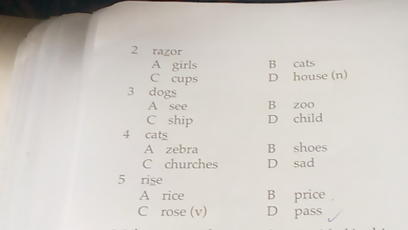 razor
A girls B cats
C cups
D house (n)
3 dogs
A see B zoo
C ship D child
4 cats
A zebra B shoes
C churches D sad
5 rise
A rice B price
C rose (v) D pass