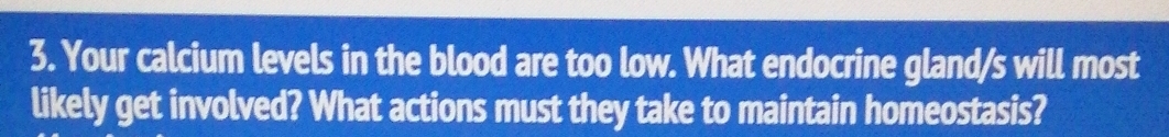 Your calcium levels in the blood are too low. What endocrine gland/s will most 
likely get involved? What actions must they take to maintain homeostasis?