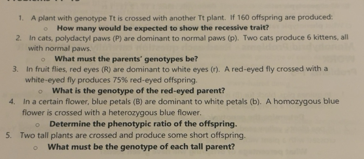 Solved: A plant with genotype Tt is crossed with another Tt plant. If ...