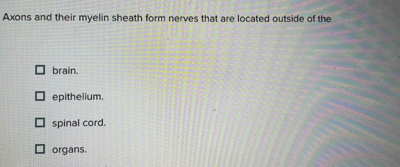 Axons and their myelin sheath form nerves that are located outside of the
brain.
epithelium.
spinal cord.
organs.