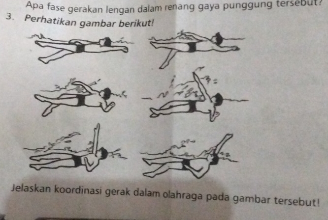 Apa fase gerakan lengan dalam renang gaya punggung tersebut: 
3. Perhatikan gambar berikut! 
Jelaskan koordinasi gerak dalam olahraga pada gambar tersebut!