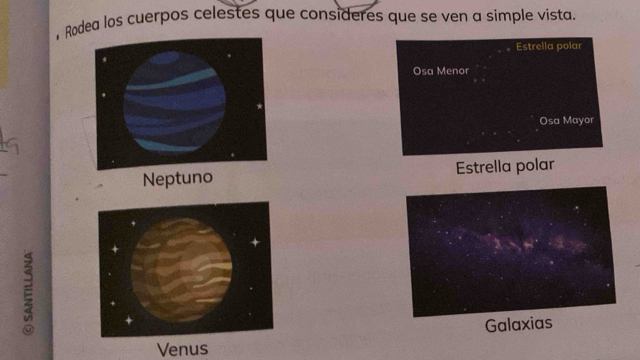 Rodea los cuerpos celestes que consideres que se ven a simple vista.
Estrella polar
Osa Menor
Osa Mayor
Neptuno Estrella polar
Galaxias
Venus