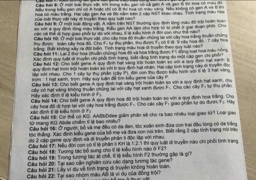 Cau hôi 7. Kểu tương tàc
Câu hỏi 8: Ở một loài thực vật, khi trong kiểu gen có cả gen A và gen B thì hoa có màu đỏ.
Nếu trong kiểu gen chỉ có A hoặc chỉ có B thì hoa có màu vàng. Nếu không có gen A và B thì
hoa có màu trắng. Hai cặp gen Aa và Bb nằm trên 2 cặp NST khác nhau. Tính trạng màu hoa
của loài thực vật này di truyền theo quy luật nào?
Câu hỏi 9: Ở một loài động vật, A nằm trên NST thường quy định lông màu đỏ trội hoàn toàn
so với a quy định lông màu trắng. Kiểu gen AA làm cho hợp tử bị chết ở giai đoạn phôi. Cho
các cá thể dị hợp giao phối tự do với nhau, tỉ lệ kiểu hình ở đời con như thể nào?
Câu hỏi 10: Ở một loài thực vật, cho cây hoa đỏ thuần chủng lai với cây hoa trắng thuân chủng
thu được toàn cây hoa đỏ. Cho F_1 tự thụ phần, thu được F_2 có tǐ le:9 cây hoa đỏ : 7 cây hoa
trắng. Biết không xảy ra đột biến. Tính trạng màu hoa di truyền theo quy luật nào?
Câu hỏi 11: Lai 2 thứ hoa (thuần chủng) hoa đỏ và hoa trắng được F1 đồng loạt hoa màu hồng.
Xác định quy luật di truyền chi phối tính trạng, biết rằng tính trạng do một cặp gen chi phối?
Câu hỏi 12: Cho biết gene A quy định hạt vàng trội hoàn toàn so với a quy định hạt xanh; B
quy định hạt trơn trội hoàn toàn so với b quy định hạt nhăn. Hai cặp tính trạng này di truyền độc
lập với nhau. Cho 1 cây tự thụ phần (cây P), đời con thu được kiểu hình với tỉ lệ 3 hạt vàng,
trơn : 1 hạt xanh, trơn. Hãy suy luận để tìm kiểu gene của cây P.
Câu hỏi 13: Cho biết gene A quy định hạt vàng trội hoàn toàn so với a quy định hạt xanh, cho
cây có hạt vàng không thuần chủng lai với cây hạt xanh được F_1. Cho các cây F_1 tự thụ phần.
Hãy xác định tỉ lệ kiểu hình ở F_2.
Câu hỏi 14: Cho biết gene A quy định hoa đỏ trội hoàn toàn so với a quy định hoa trắng. Cho
cây hoa đỏ dị hợp lai với cây hoa trắng được F_1. Cho các cây F_1 giao phần tự do được F_2. Hãy
xác định tỉ lệ kiểu hình ở F_2
Câu hỏi 15: Cơ thể có KG: AABbDdee giảm phân sẽ cho ra bao nhiêu loại giao tử? Loại giao
tử mang KG Abde chiếm tỉ lệ bao nhiêu?
Câu hỏi 16: Ở người, bố và mẹ đều có da đen, tóc xoăn sinh đứa con trai đầu lòng có da trắng
tóc thẳng. Xác định kiểu gene của bố mẹ và đứa con nói trên. Biết rằng 2 cặp tính trạng nói trên
do 2 cặp gene quy định và di truyền phân li độc lập với nhau.
Câu hỏi 17: Nếu đời con có tỉ lệ phân li KH là 1:2 :: 1 thì quy luật di truyền nào chi phối tính trạng.
Câu hỏi 18: Tương tác bổ sung cho tỉ lệ kiểu hình nào ở F2?
Câu hỏi 19: Trong tương tác át chế, tỉ lệ kiểu hình F2 thường gặp là gì?
Câu hỏi 20: Tại sao cần nghiên cứu các dạng tương tác gene?
Câu hỏi 21: Lấy ví dụ về tính trạng di truyền không hoàn toàn.
Câu hỏi 22: Tại sao nhóm máu AB là ví dụ của đồng trội?
th uc vật