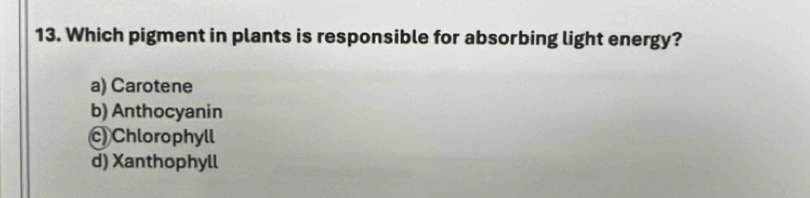 Which pigment in plants is responsible for absorbing light energy?
a) Carotene
b) Anthocyanin
c) Chlorophyll
d) Xanthophyll