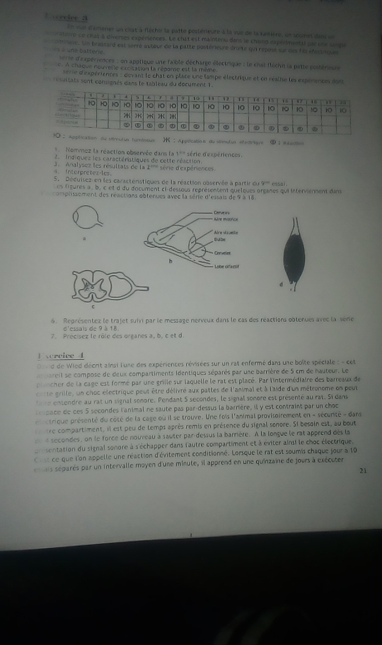 Ereice 3
En vue d'amener un chat a fléchir la patte postérieure à la vue de la lumière, un soumet dans un
Aateire ce chat à diverses expériences. Le chat est maintenu dans le champ expérimental par une sangle
omnale. Un brassard est serré autour de la patte postérieure droite qui repose sur des fils électiiques
es à uné batterie
serie d'expériences : on applique une faible décharge électrique : le chat fléchit la patte postérieure
C e . A chaque nouvelle excitation la réponse est la même
série d'expériences : devant le chat on place une lampe électrique et on réalise les expériences dont
résultats sont consignés dans le tableau du document 1.
n du simutus turineux ；Application du stimulus efectrique ⑧；Rtlaction
Nommez la réaction observée dans la 1^(cm)
Z  Indiquez les caractéristiques de cette réaction. série d'expériences.
3. Analysez les résultats de la 2^(100)
4. Interprétez-les, série d'expériences.
5. Déduisez-en les caractéristiques de la réaction observée à partir du y essa
es figures à , b, c et d du document ci-dessous représentent quelques organes qui interviennent dans
complissement des réactions obtenues avec la série d'essais de 9 à 18.
* Aère matrice Cerve as
Bulbe Airev uelle
Cervelet
b
Lobe olfacot
d
6. Représentez le trajet suivi par le message nerveux dans le cas des réactions obtenues avec la sèrie
d'essais de 9 à 18
7. Precísez le rôle des organes a, b. c et d.
1crcice 4
d de Wied décrit ainsi l'une des expériences révisées sur un rat enfermé dans une boîte spéciale : - cet
pareil se compose de deux compartiments identiques séparés par une barrière de 5 cm de hauteur. Le
plincher de la cage est formé par une grille sur iaquelle le rat est placé. Par l'intermédiaire des barreaux de
cette grille, un choc électrique peut être délivré aux pattes de l'animal et à l'aide d'un métronome on peut
re ntendre au rat un signal sonore. Pendant 5 secondes, le signal sonore est présenté au rat. Si dans
pace de ces 5 secondes l'animal ne saute pas par-dessus la barrière, il y est contraint par un choc
r ctrique présenté du côté de la cage où il se trouve. Une fois l'animal provisoirement en - sécurité - dans
tre compartiment, il est peu de temps après remis en présence du signal sonore. Si besoin est, au bout
n 4 secondes, on le force de nouveau à sauter par-dessus la barrière. À la longue le rat apprend dès la
pn sentation du signal sonore à s'échapper dans l'autre compartiment et à éviter ainsi le choc électrique.
Cost ce que l'on appelle une réaction d'évitement conditionné. Lorsque le rat est soumis chaque jour à 10
e ais séparés par un intervalle moyen d'une minute, il apprend en une quinzaine de jours à exécuter
21